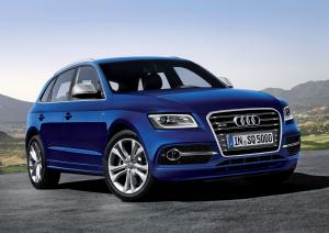 Audi SQ5 TDI 2013 года  (WW)